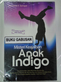 Image of Misteri kehidupan : anak indigo